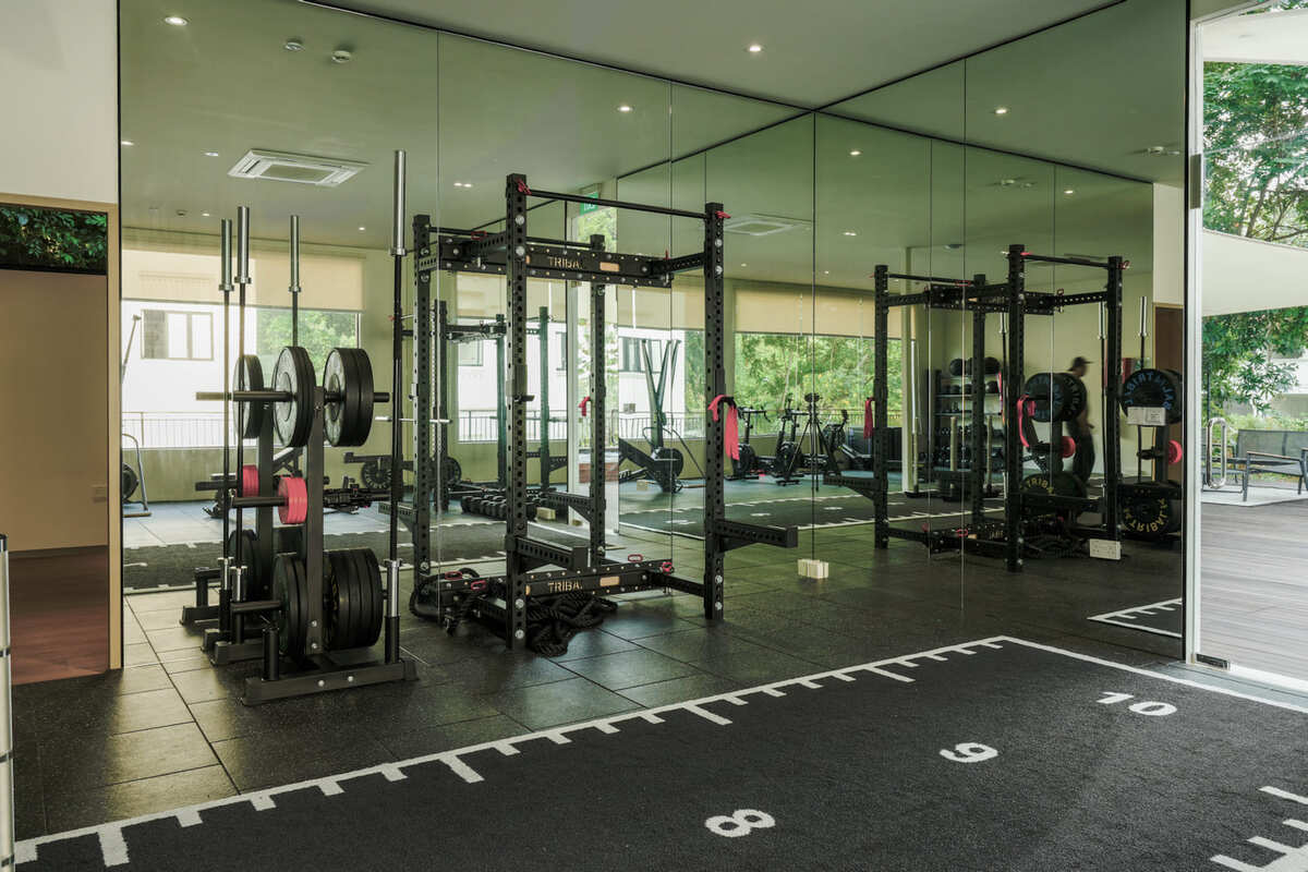 Light-filled gym with weights and training racks